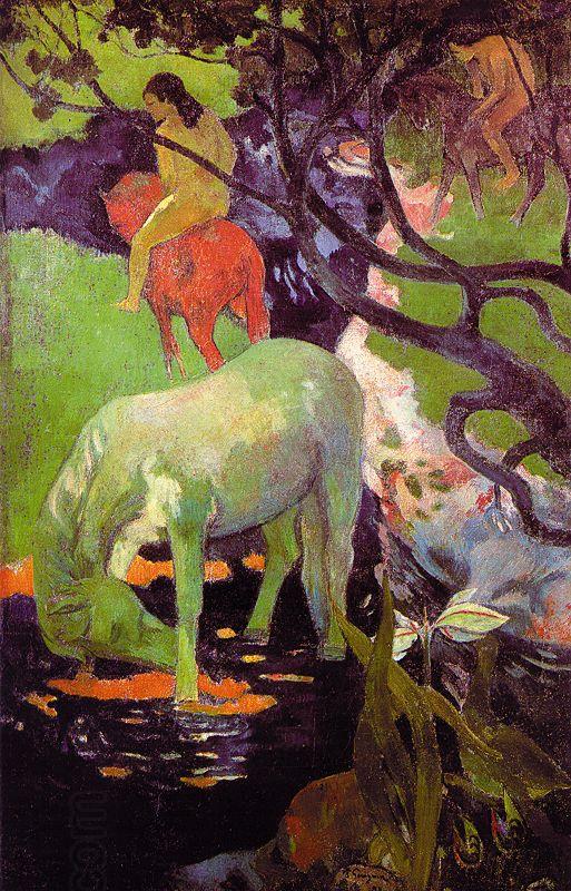 Paul Gauguin The White Horse r China oil painting art